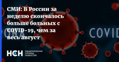 СМИ: В России за неделю скончалось больше больных c COVID-19, чем за весь август