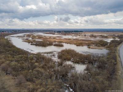 Именем известного орнитолога назовут болото под Томском