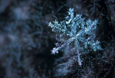 Перед началом зимы в Ленобласти похолодает до -5 градусов