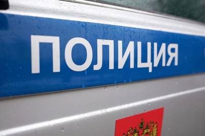 Полиция в Челябинске проверит компанию, которая зарезали барана на глазах у прохожих