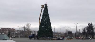 Новогоднюю елку установили в центре Петрозаводска (ФОТО)