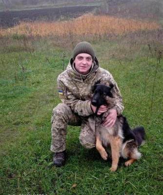 В Одесской области лис вступил в схватку с пограничной собакой