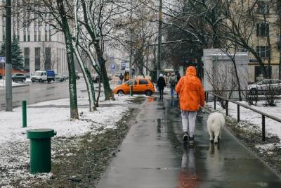 Названа дата прихода зимней погоды в Москву