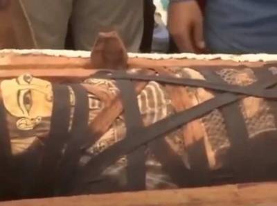 В Египте количество найденных саркофагов с мумиями увеличилось на 160 штук - actualnews.org - Египет - Мемфис
