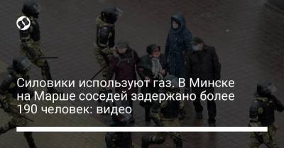Силовики используют газ. В Минске на Марше соседей задержано более 190 человек: видео