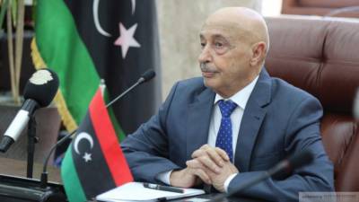 Глава Палаты представителей рассказал ООН о попытках срыва диалога по Ливии