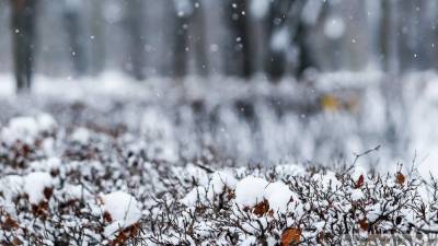 Настоящая зима может прийти в Москву в ближайшее время