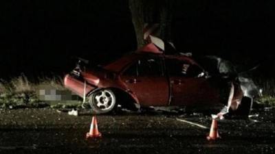 Под Правдинском иномарка врезалась в дерево – водитель погиб