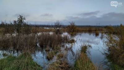 В Одесской области вышло из берегов водохранилище