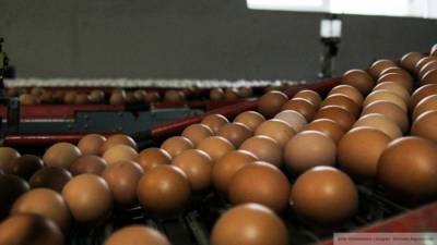Диетолог рассказала о вреде и пользе ежедневного употребления яиц