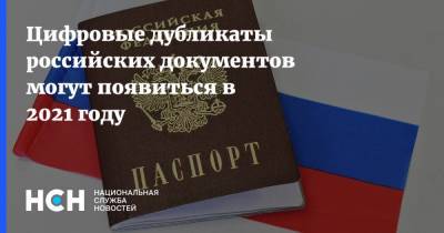 Цифровые дубликаты российских документов могут появиться в 2021 году