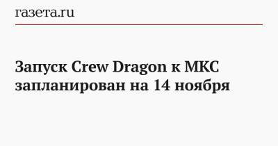 Запуск Crew Dragon к МКС запланирован на 14 ноября