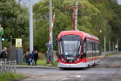 13 новых трамваев выйдут на маршруты в Петербурге весной