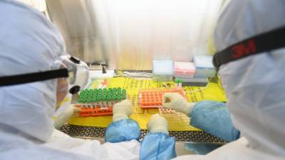 Гинцбург: вакцина от COVID-19 может дать защиту от иных коронавирусов