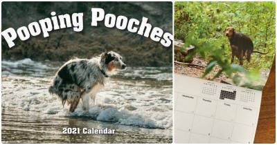 Шуточный календарь с собаками на 2021 год, который оценят не все
