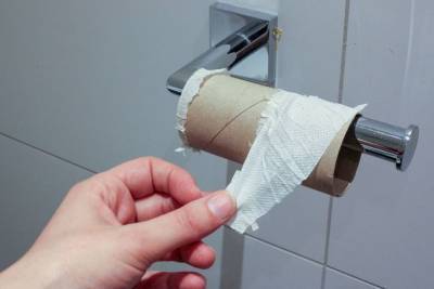 Дефицит туалетной бумаги начался в Берлине