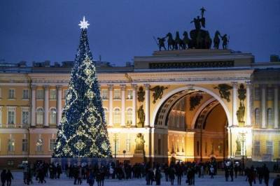 В Петербурге главная новогодняя ёлка будет живой впервые за семь лет