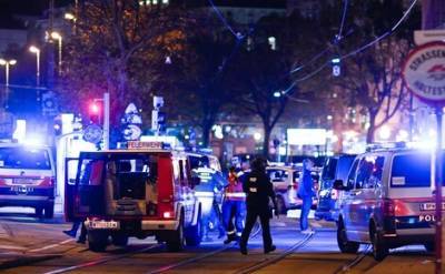 Два человека задержаны по делу о нападении в Вене