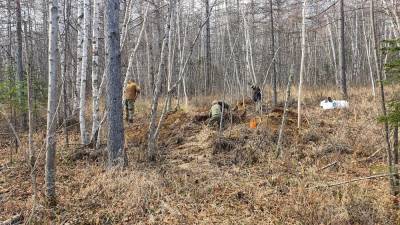 Останки погибшего солдата обнаружили поисковики в Смирныховском районе