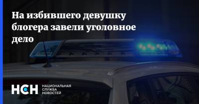 Алена Ефремова - Блогер - На избившего девушку блогера завели уголовное дело - nsn.fm - Москва - Россия