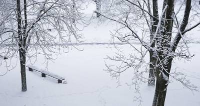 Зима откладывается? Что говорят синоптики о наступлении холодов в Латвии