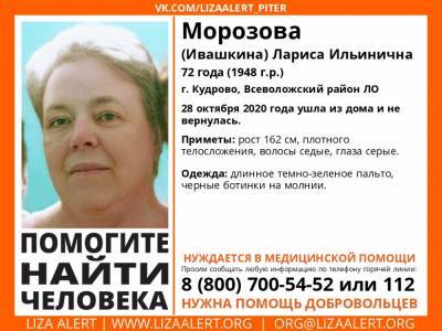 В Кудрово без вести пропала 72-летняя женщина