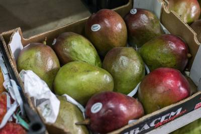 Аналитики сообщили о росте спроса на экзотические фрукты