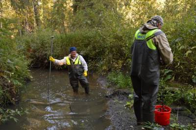 Томские биологи помогут очистить от нефти приток реки в Коми