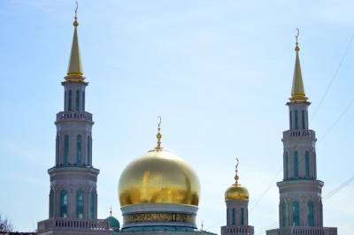 Как конфликт Макрона с мусульманами могут легко экспортировать в Россию