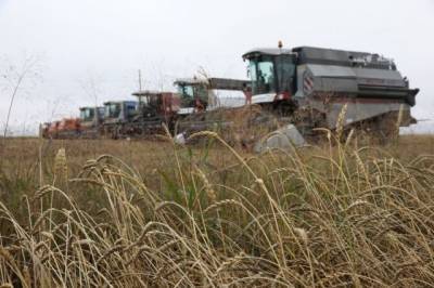 Россиян предупредили о возможной гибели урожая в двух регионах
