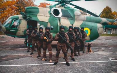 МВД привлекло авиацию для безопасности в день выборов