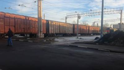 Грузовой поезд насмерть сбил женщину на 46 километре станции Гатчина-Варшавская