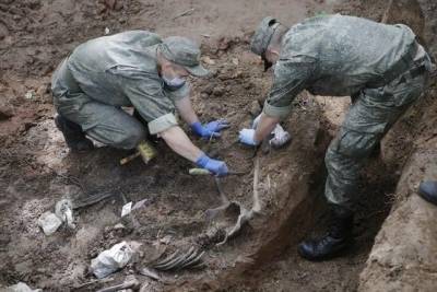 Под Псковом найдены останки 188 человек, убитых фашистами в годы войны