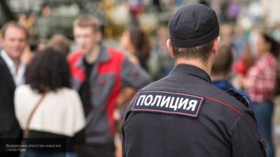 В Госдуме поддержали законопроект о расширении полномочий полиции