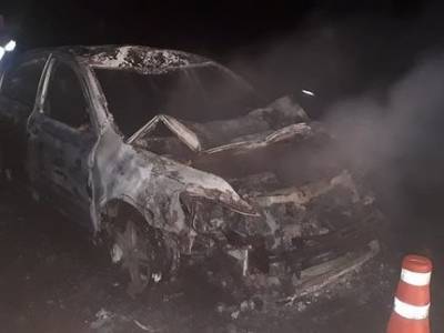 В Башкирии мужчина насмерть сбил лошадей и едва остался жив после возгорания автомобиля
