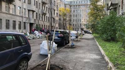 Петербуржцы высадили липы на улице Некрасова - piter.tv