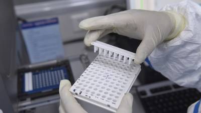 В России за сутки проведено более 550 тысяч тестов на коронавирус
