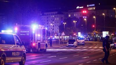 В сеть попали кадры расстрела прохожих в Вене