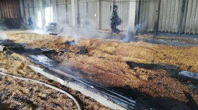В Лельчицком районе при возгорании сушилки спасено 6 т кукурузы