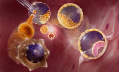 В Японии впервые начали клинические опыты по лечению рака при помощи iPS-клеток