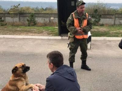Выборы в Молдавии: Киртоакэ в Приднестровье обрадовалась только собака