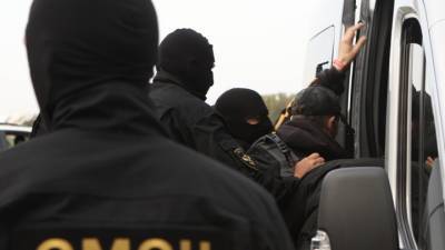 В Белоруссии за незаконную акцию задержали россиянку