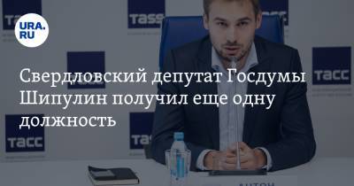 Свердловский депутат Госдумы Шипулин получил еще одну должность