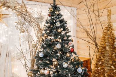 К Новому году в Рязани установят 30 елок