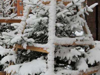 Метеорологи прогнозируют резкое ухудшение погоды в Башкирии