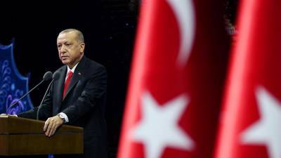 Турция назвала антимусульманской публикацию карикатур на Эрдогана