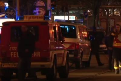 Глава австрийского МВД сделал заявление в связи с произошедшим терактом