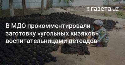 В МДО прокомментировали заготовку «угольных кизяков» преподавателями детсадов