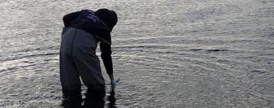 СКР считает причиной загрязнения моря на Камчатке природный фактор