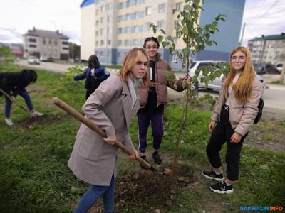 Жители Долинского района приняли участие в акции "Сохраним лес"